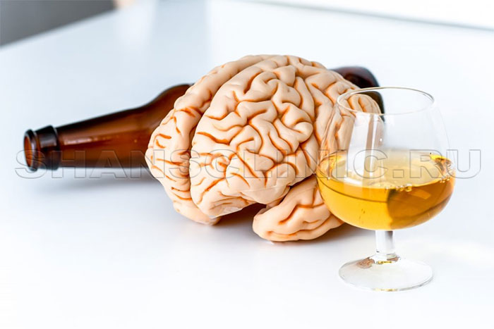 Употребление алкоголя вредит мозгу